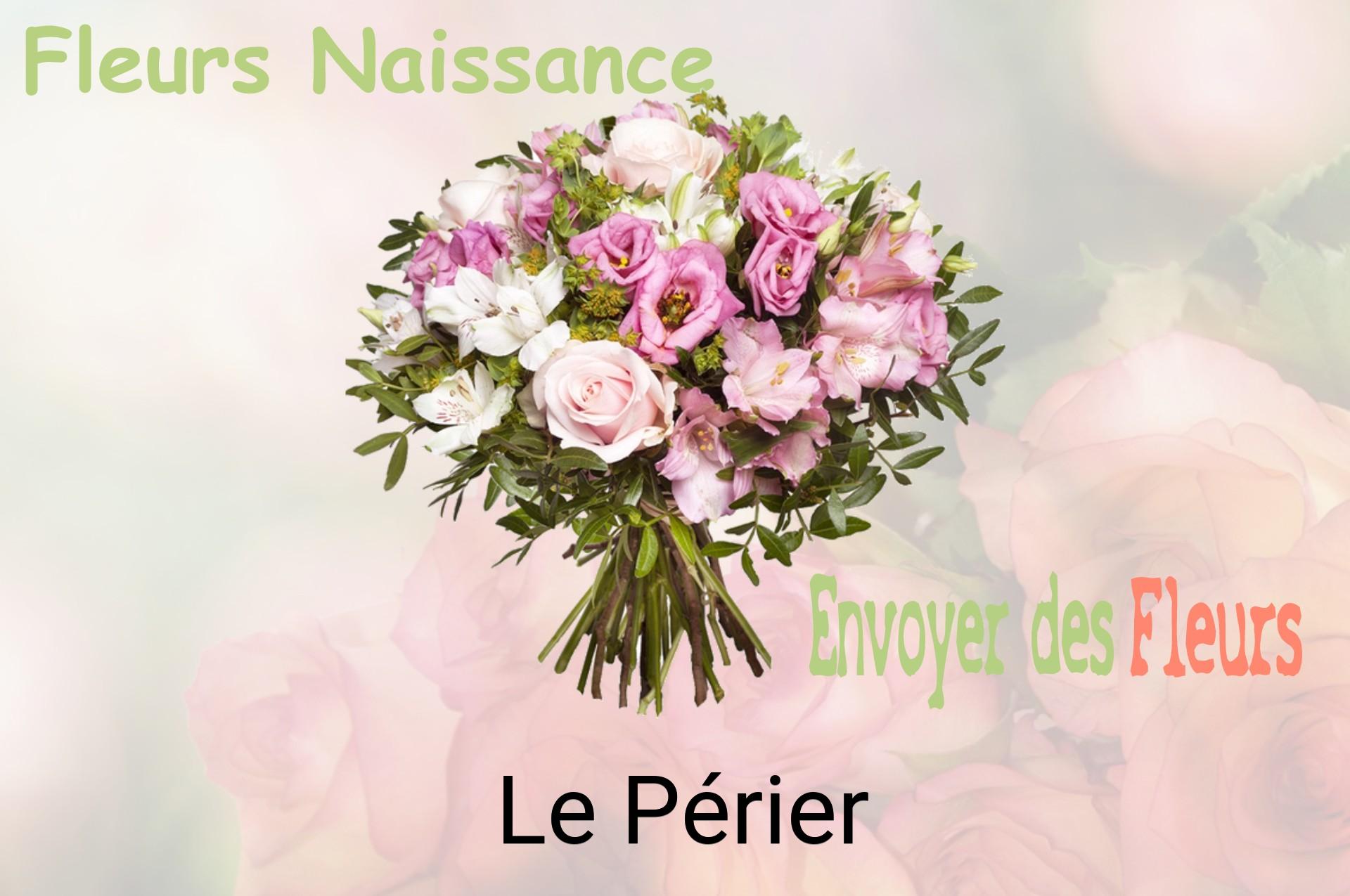 Bouquet de fleurs de naissance livré à Le Périer