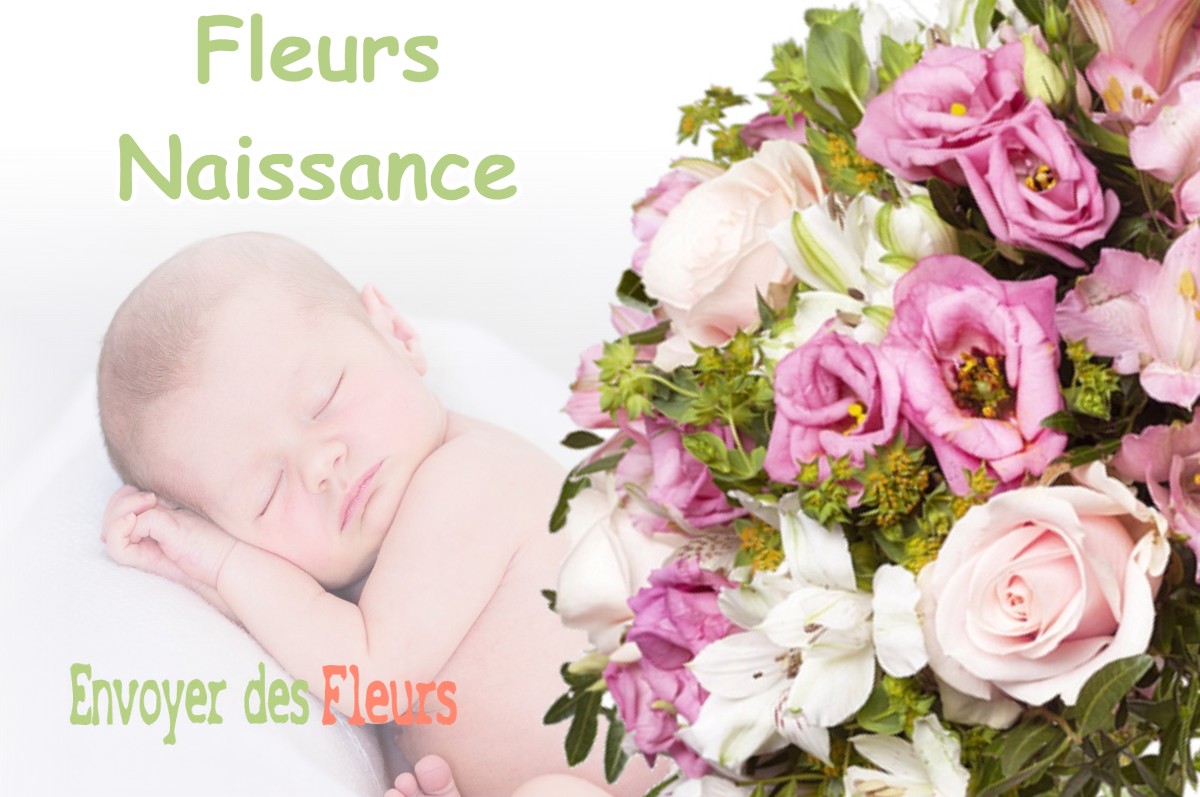 lIVRAISON FLEURS NAISSANCE à LE-PERIER